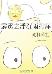 霹雳之浮沈雨打萍封面