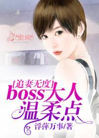 追妻无度：boss大人温柔点洛笑冉江璧丞封面