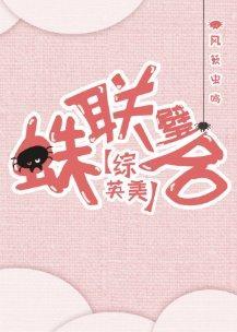 [综英美]蛛联璧合封面