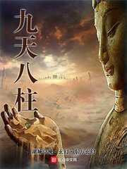 九天八柱封面