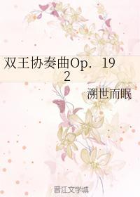 双王协奏曲Op．192封面