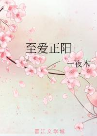 至爱正阳封面