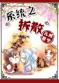 系统之拆散封面