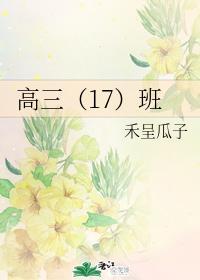 高三(17)班封面