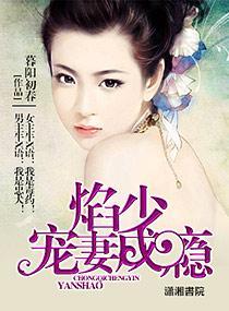 焰少爱妻成狂封面