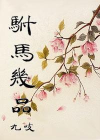 驸马几品封面