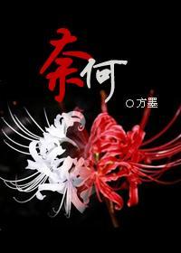 奈何封面