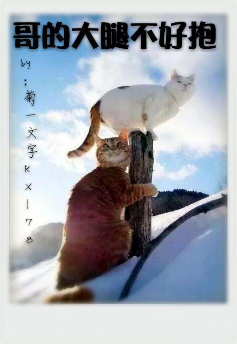 哥的大腿不好抱封面