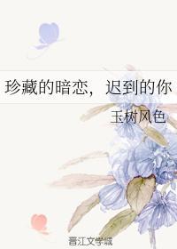 珍藏的暗恋，迟到的你封面