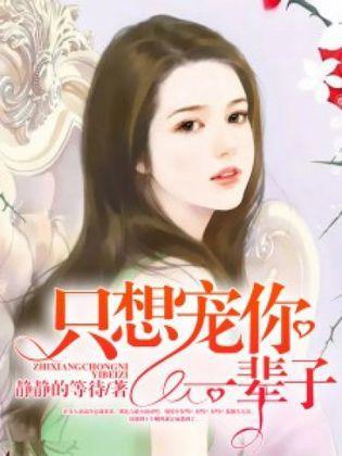 只想宠你一辈子封面