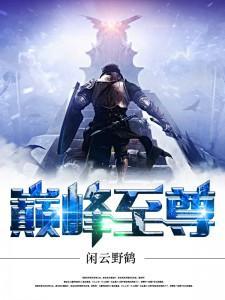 巅峰至尊封面
