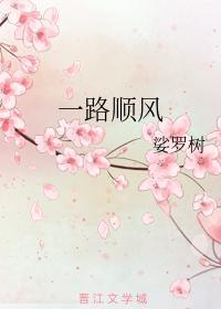 一路顺风封面