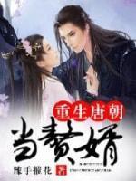 重生唐朝当赘婿封面
