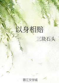 以身相赔封面