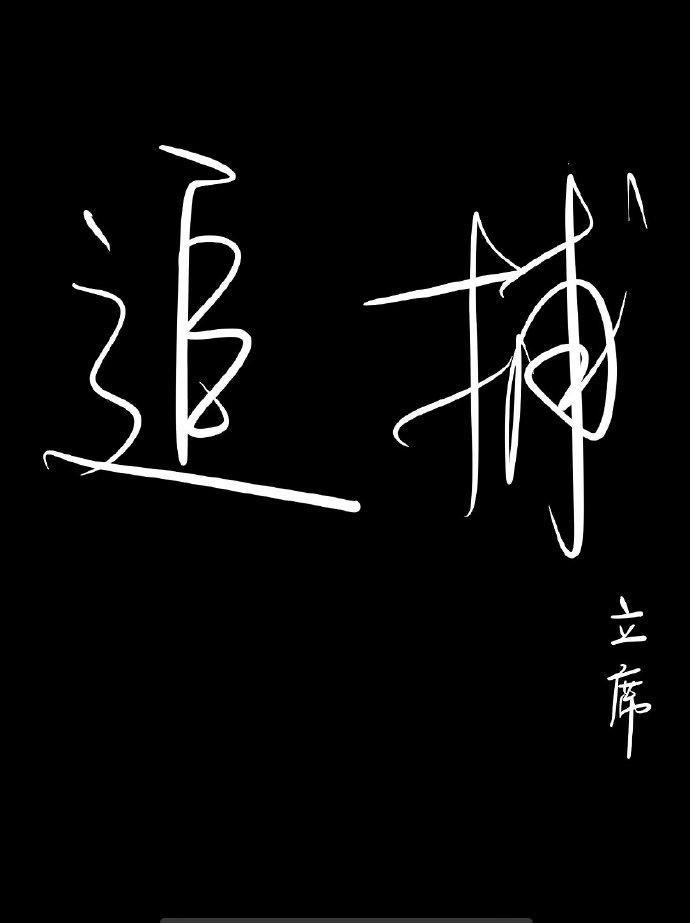 追捕封面