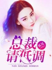 总裁请低调安筱桐叶亚枫封面