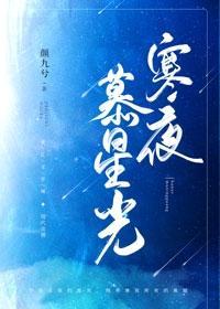 寒夜慕星光封面