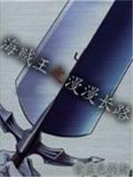 海贼王之漫漫长路封面