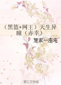 （黑篮+网王）天生异瞳（赤幸）封面