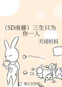 （SD南藤）三生只为你一人封面