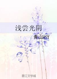 浅尝光阴封面