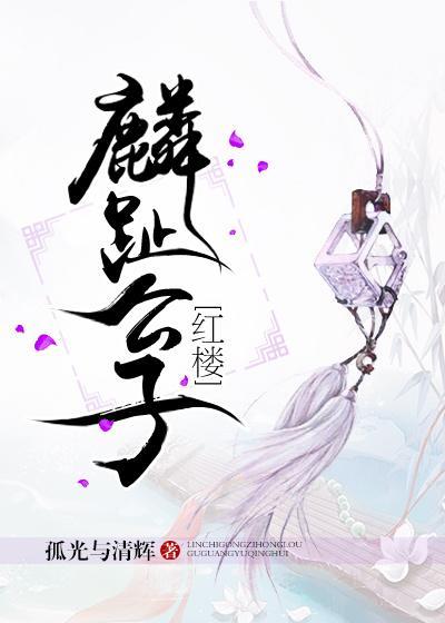麟趾公子[红楼]封面