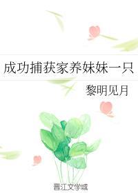 成功捕获家养妹妹一只封面