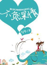 不负深情封面
