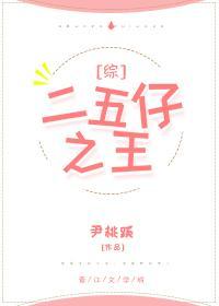 二五仔之王封面