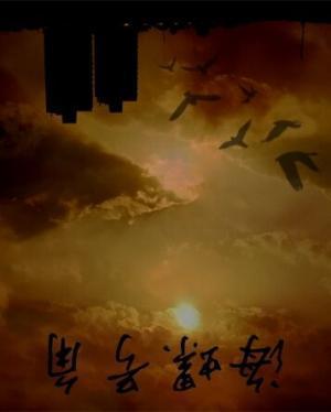 海螺号角封面