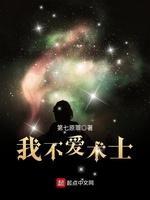 我不爱术士封面