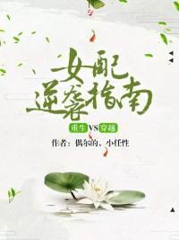 重生VS穿越：女配逆袭指南封面