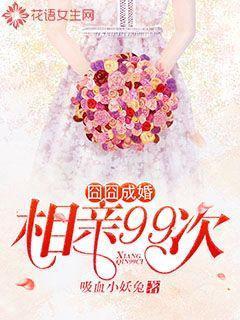 囧囧成婚：相亲99次封面
