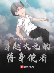 穿越次元的替身使者封面