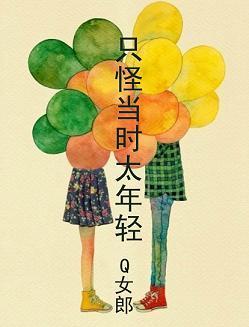 只怪当时太年轻封面