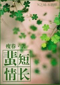 蜚短情长封面