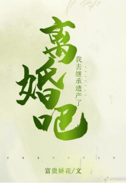 离婚吧，我去继承遗产了封面