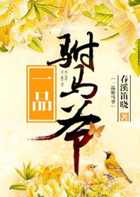 一品驸马爷封面