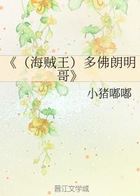 （海贼王）多佛朗明哥封面