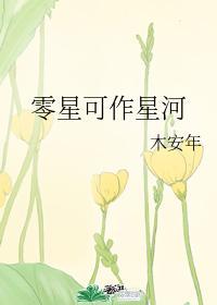 零星可作星河封面