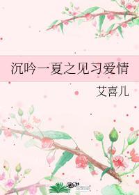 沈吟一夏之见习爱情封面