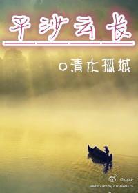 平沙云长封面