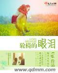 轮椅的眼泪封面