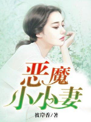 恶魔小小妻封面