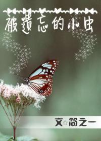 被遗忘的小虫封面