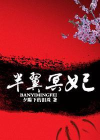 半翼冥妃封面
