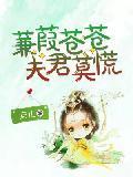 蒹葭苍苍，夫君莫慌封面