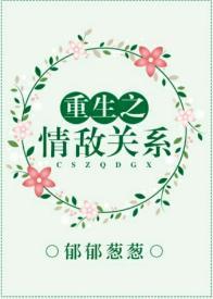 重生之情敌关系封面