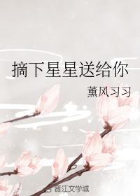 摘下星星送给你封面