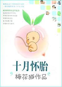 十月怀胎封面
